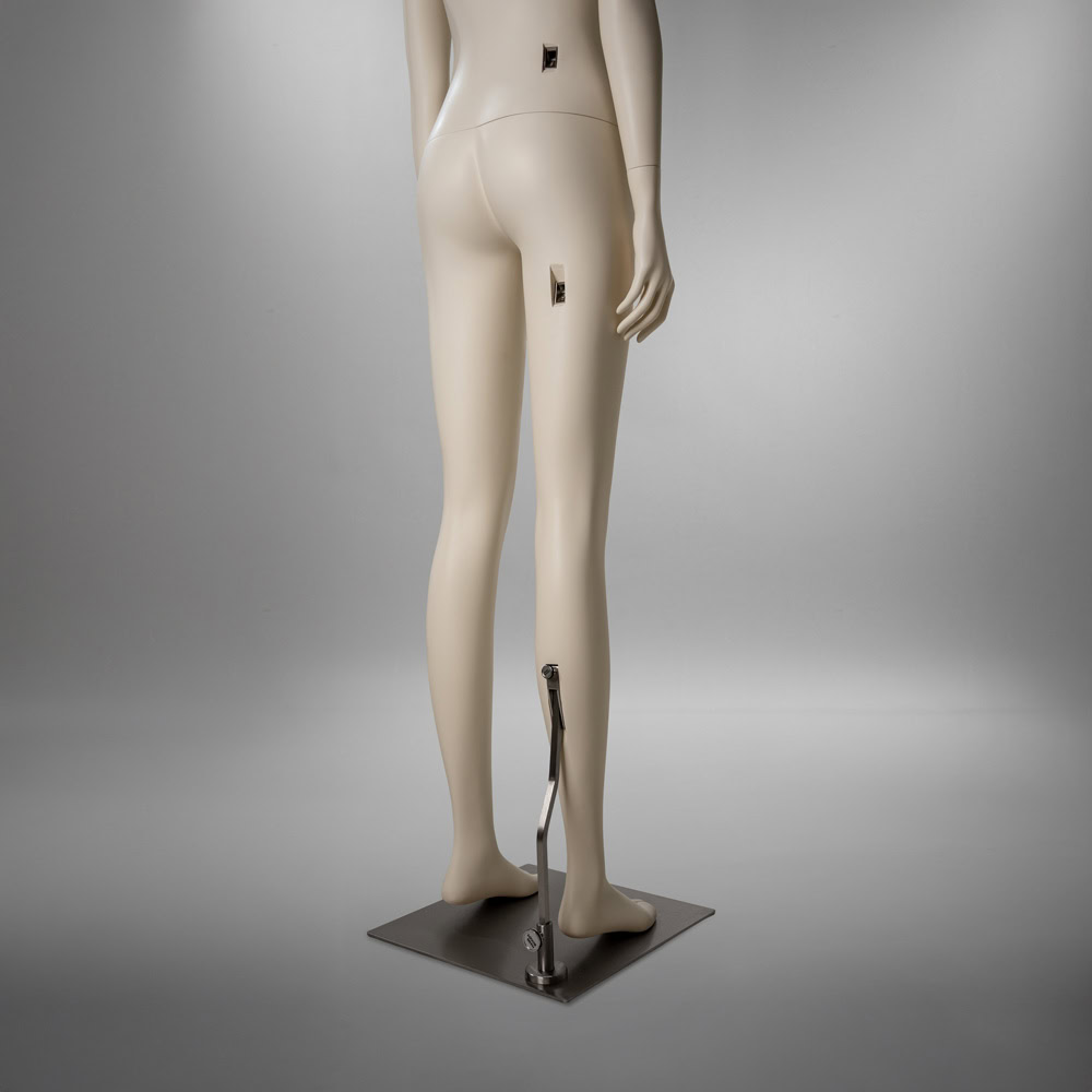 Canvas-EDIT-20-Base-01